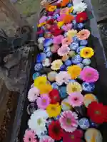 清水寺(千葉県)