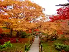 宝筐院(京都府)