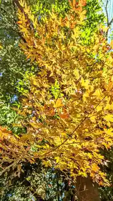 畑子安神社の自然