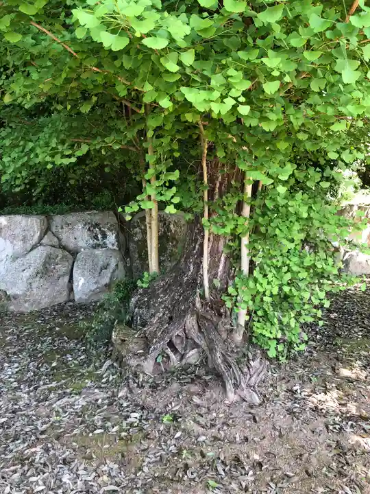 春日神社(福井県)