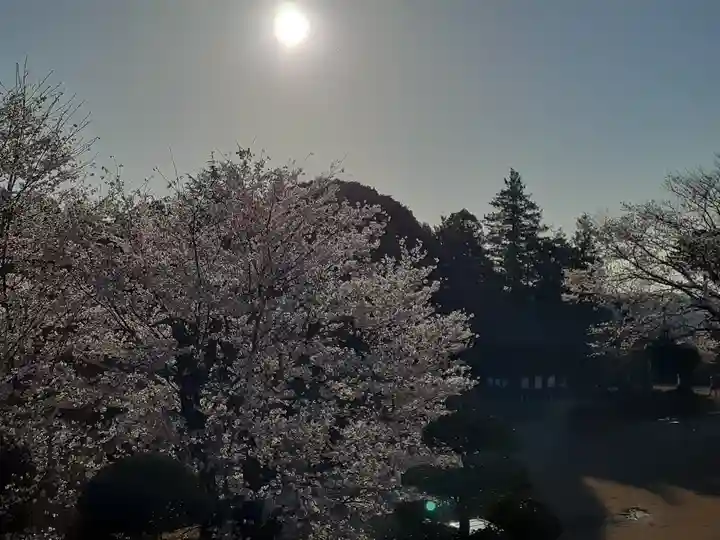 伏木香取神社の自然