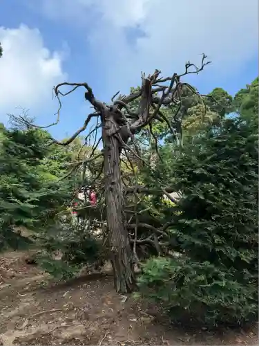 神野寺(千葉県)
