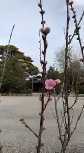 比佐豆知神社(三重県)(2026年02月21日(土) 14時33分58秒投稿)