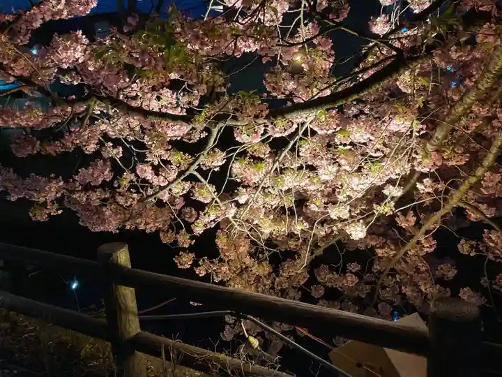 松戸神社(千葉県)