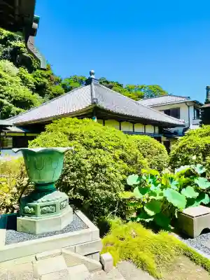 安養院　(田代寺）(神奈川県)