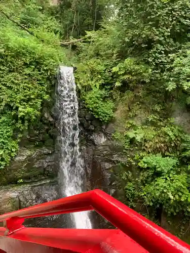 大正寺(中野不動尊)の庭園