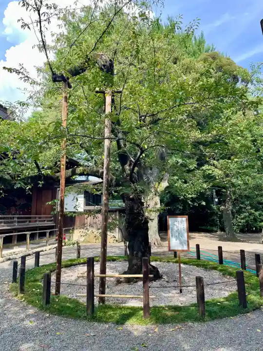 靖國神社(東京都)