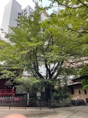 金王八幡宮の自然