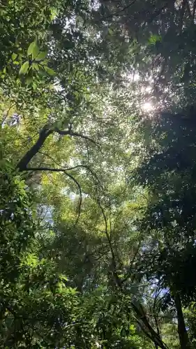 鷲宮神社(埼玉県)
