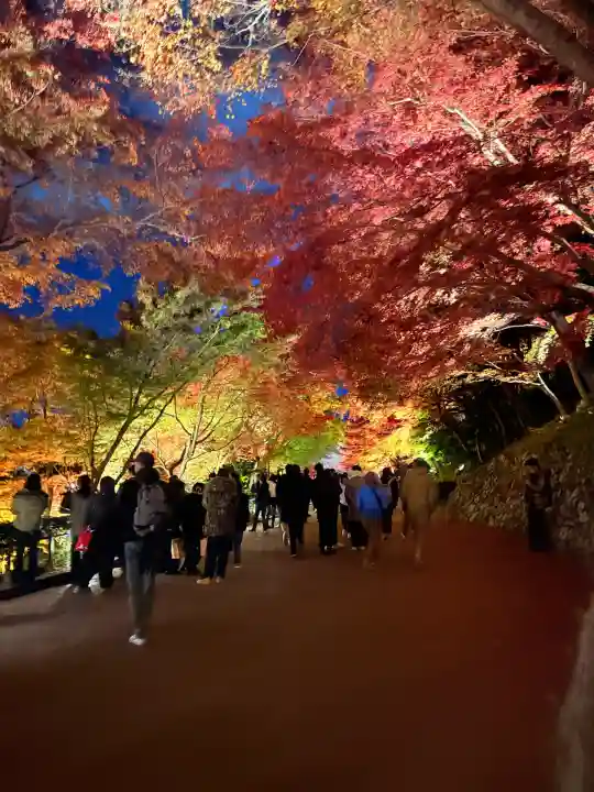 清水寺(京都府)