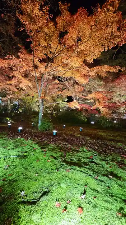 宝厳院(京都府)