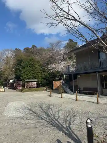 櫻木神社(千葉県)
