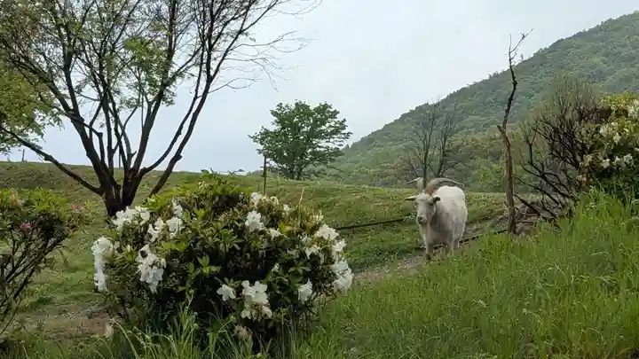 小豆島大観音仏歯寺(香川県)