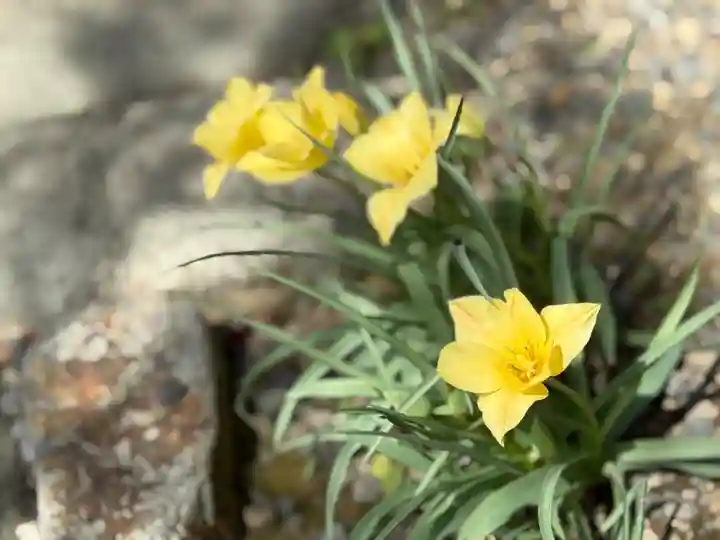 西方山極楽寺(岐阜県)