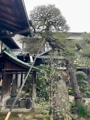 信行寺の{uncategorized: "未分類", other: "その他", undefined: "問題あり", building: "その他建物", grave: "お墓", sacred_gate: "鳥居", guardian: "狛犬", statue: "像", buddha: "仏像", history: "歴史", nature: "自然", garden: "庭園", animal: "動物", pagoda: "塔", temizu: "手水舎", mountain_gate: "山門・神門", sanctuary: "本殿・本堂", subordinate: "末社・摂社", art: "芸術", scenery: "景色", jizo: "地蔵", ema: "絵馬", goshuin: "御朱印", omikuji: "おみくじ", items: "授与品その他", amulet: "お守り", goshuincho: "御朱印帳", eats: "食事", festival: "お祭り", votive_dance: "神楽", shichigosan: "七五三参", wedding: "結婚式", experience: "体験その他", initially: "初詣", around: "周辺", anti_infection: "感染症対策"}