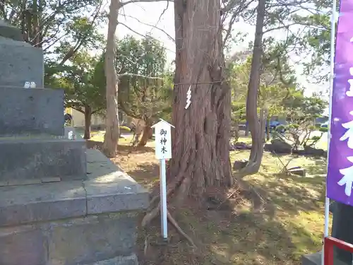 伊達神社(北海道)