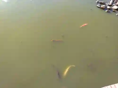 稱名寺(神奈川県)