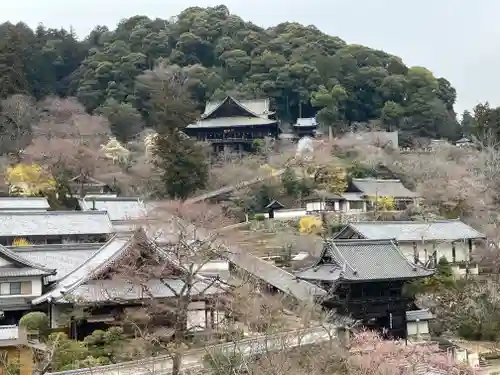 長谷寺(奈良県)