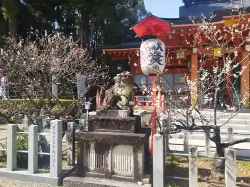 長岡天満宮の狛犬
