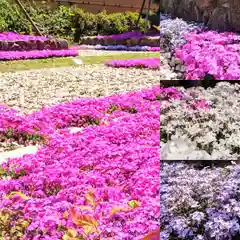 寿量山　速成寺の庭園