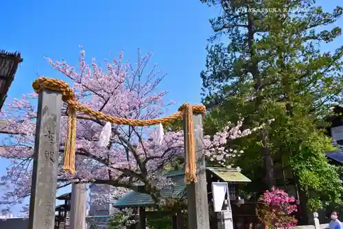 伊勢山皇大神宮(神奈川県)