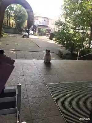 法蓮寺(東京都)