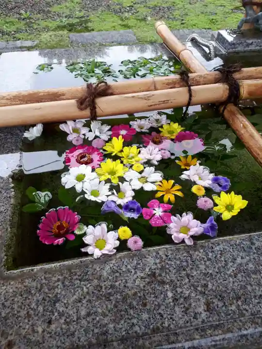 今市報徳二宮神社の手水舎