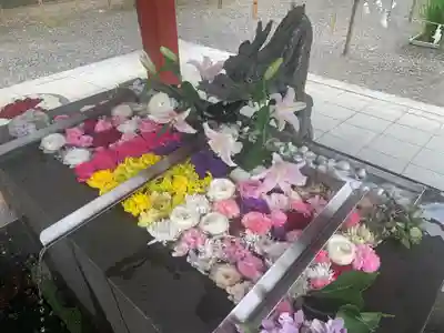 美濃國一宮　南宮大社の手水舎