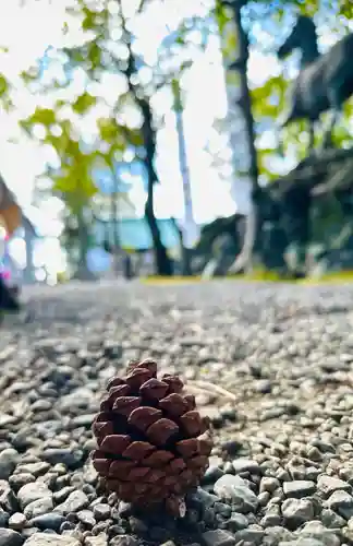 若宮神明社(愛知県)