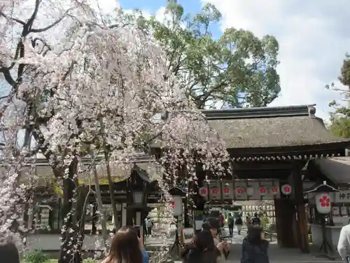 平野神社の山門