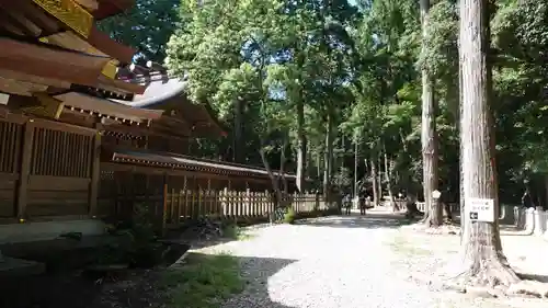 大麻比古神社(徳島県)