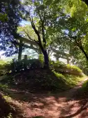 丹生都比売神社の鳥居