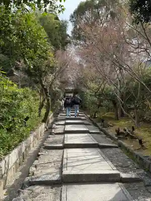高台寺(高台寿聖禅寺・高臺寺)(京都府)