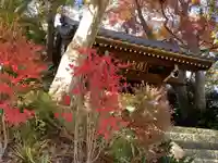 能満寺(神奈川県)