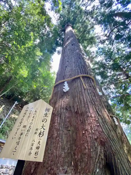 丹生川上神社(中社)(奈良県)
