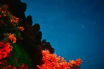 竹之高地不動社(新潟県)