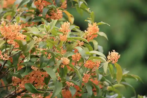 滑川神社 - 仕事と子どもの守り神の自然