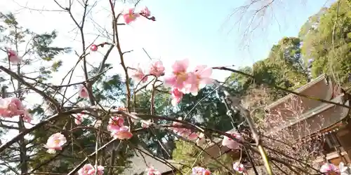 出雲大神宮の自然