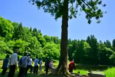 郡殿の池弁財天社(新潟県)