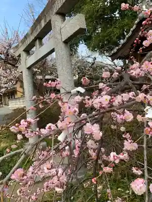 玉敷神社の鳥居