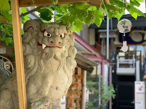 菊名神社の狛犬