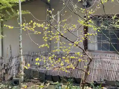 遠照山 光明寺（尼崎大仏）(兵庫県)