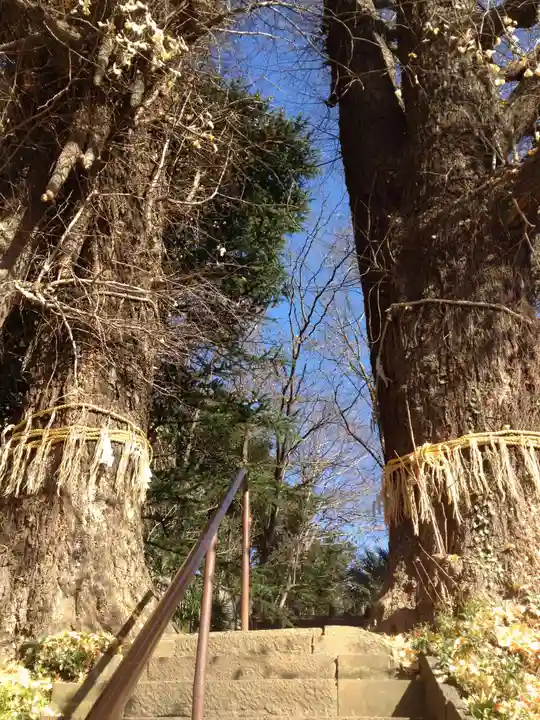 水神社(東京都)