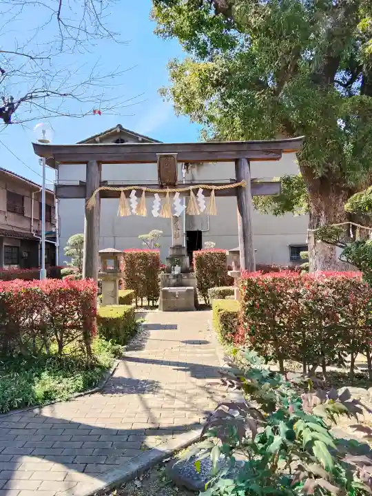 多米社(多米神社跡)の{uncategorized: "未分類", other: "その他", undefined: "問題あり", building: "その他建物", grave: "お墓", sacred_gate: "鳥居", guardian: "狛犬", statue: "像", buddha: "仏像", history: "歴史", nature: "自然", garden: "庭園", animal: "動物", pagoda: "塔", temizu: "手水舎", mountain_gate: "山門・神門", sanctuary: "本殿・本堂", subordinate: "末社・摂社", art: "芸術", scenery: "景色", jizo: "地蔵", ema: "絵馬", goshuin: "御朱印", omikuji: "おみくじ", items: "授与品その他", amulet: "お守り", goshuincho: "御朱印帳", eats: "食事", festival: "お祭り", votive_dance: "神楽", shichigosan: "七五三参", wedding: "結婚式", experience: "体験その他", initially: "初詣", around: "周辺", anti_infection: "感染症対策"}