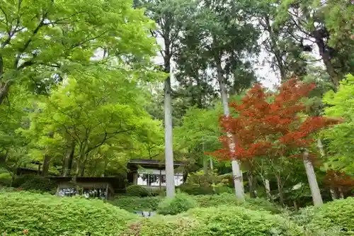 大興善寺の庭園