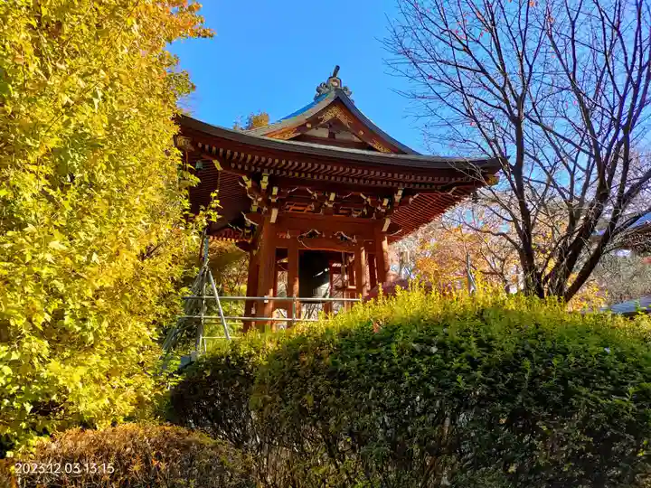 泉蔵院(東京都)