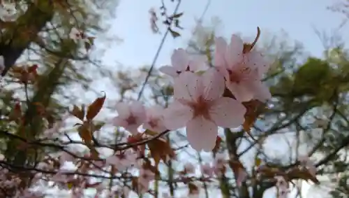 大谷地神社の自然