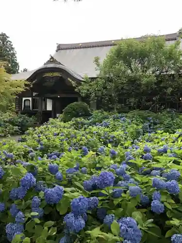 雲昌寺の庭園