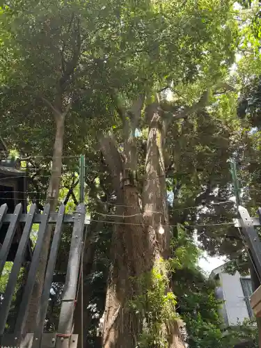 太子堂八幡神社(東京都)