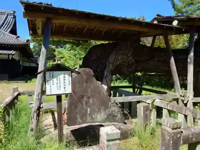本宗寺(愛知県)
